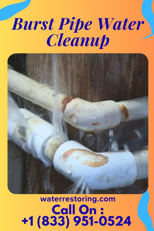 Burst Pipe Water Cleanup in Blairsville, IL