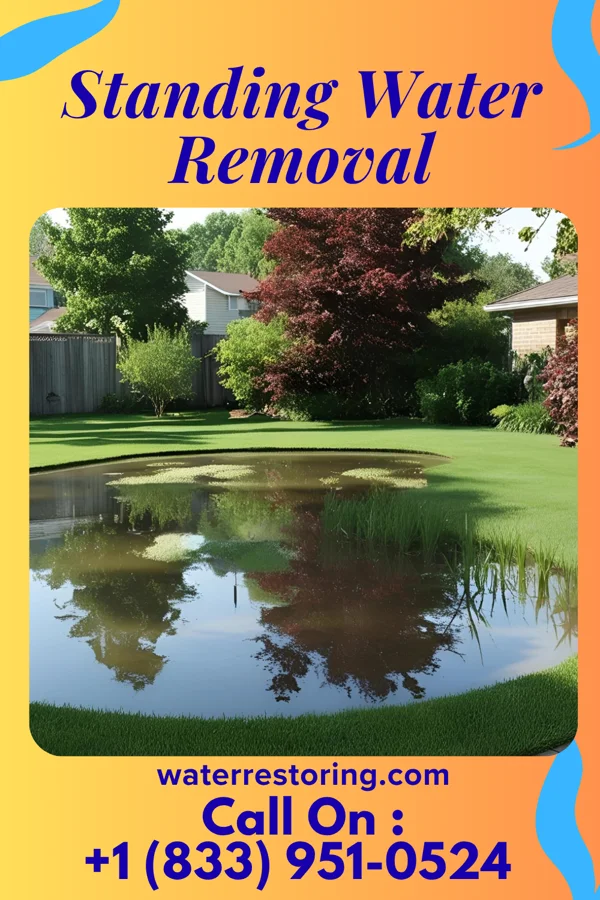 Standing Water Removal in Blairsville, IL